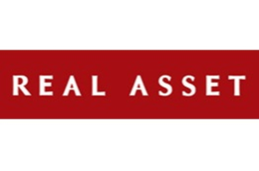 Real Asset Development